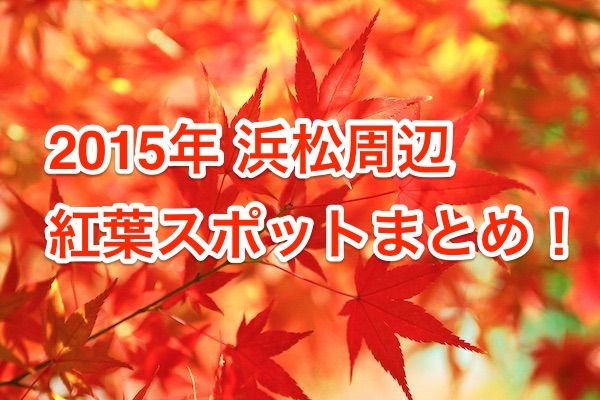 autumn-leaves_00001 2